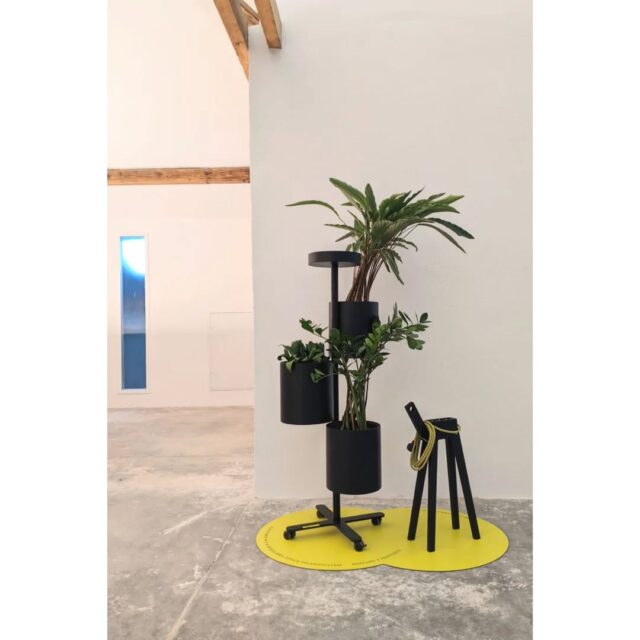 Wir haben das Konzept der Flexibilität im Office mit einem neuen Produkt ergänzt! Hello, FX Bloomer! Entdeckt das modulare Begrünungssystem in der Ausstellung Design unterm Dach an den Coburger Designtagen! @designforum_cdo 💚 

FX Bloomer haben wir mit einem großartigen Partner entwickelt: ROSCONI X NJUSTUDIO ❤️ @schneeweissworld

#bloomer #officedesign #officeaccessories #officeinspiration #greenterior #greenoffice #greenupyouroffice #buerobegruenung #modular #stecksystem