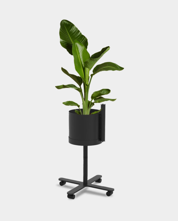 FX Bloomer modulares Pflanzsystem active