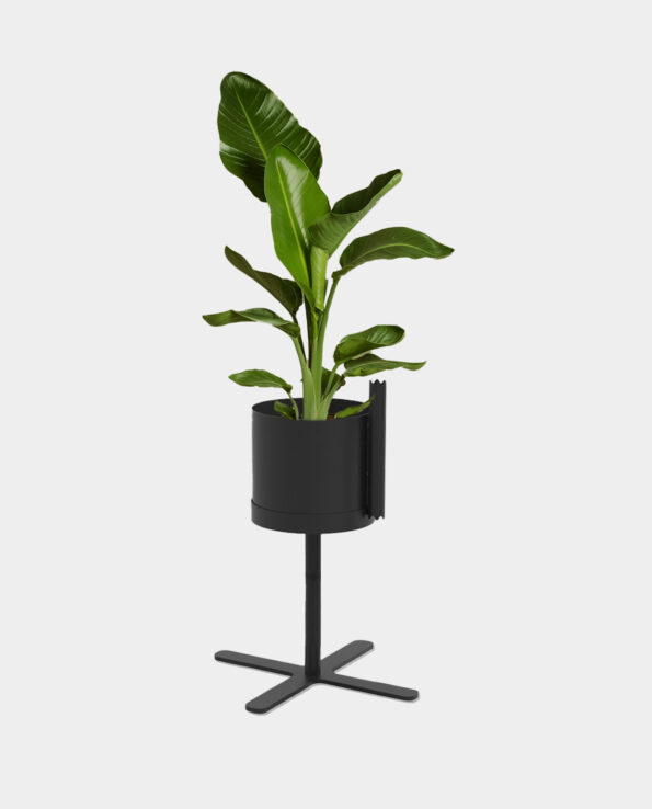 FX Bloomer modulares Pflanzsystem relaxed